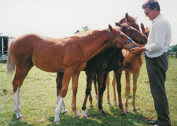  - Pennekamp ex Kalinka 2001 colt - July 2001 - 1