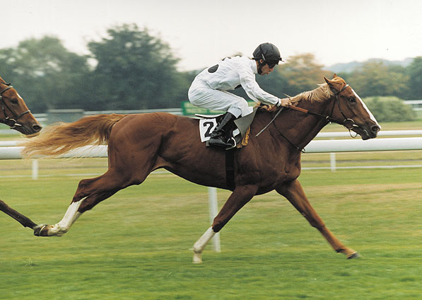  - Penzance and Oscar Urbina winning at Haydock - 5 September 2003 - 1