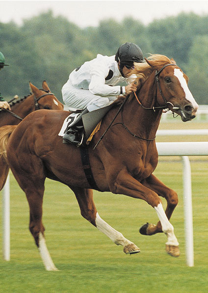  - Penzance and Oscar Urbina winning at Haydock - 5 September 2003 - 2