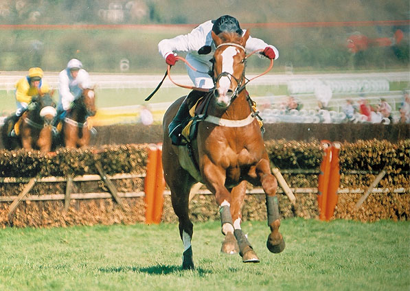  - Penzance and Robert Thornton winning the Grade 1 Triumph Hurdle at Cheltenham Festival - 18 March 2005 - 2