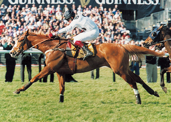  - Penzance and Robert Thornton winning the Grade 1 Triumph Hurdle at Cheltenham Festival - 18 March 2005 - 3