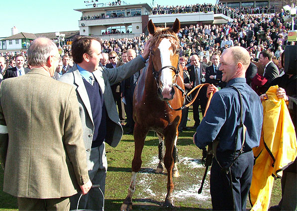  - Penzance and Alan King after winning the Triumph Hurdle at Cheltenham - 18 March 2005
