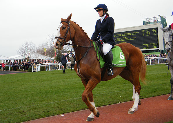  - Penzance parading at Cheltenham Festival - 13 March 2012