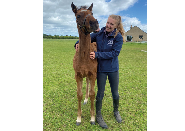 - Calyx ex Affinity filly - 27 May 2022