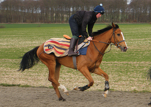  - Reverb on the gallops - April 2013