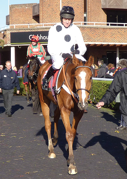  - Reverb at Kempton - 4 November 2013