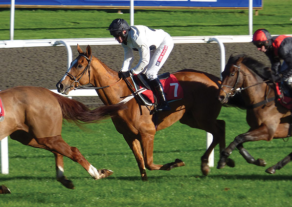  - Reverb and Barry Geraghty at Kempton - 4 November 2013