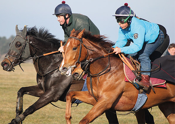  - Ribbons on the Newmarket gallops- April 2013 - 1