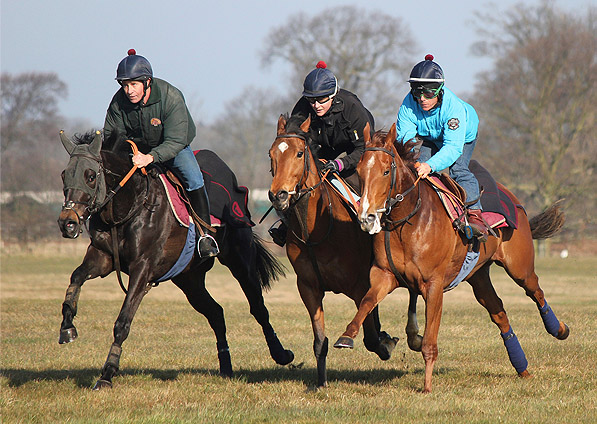  - Ribbons on the Newmarket gallops- April 2013 - 2
