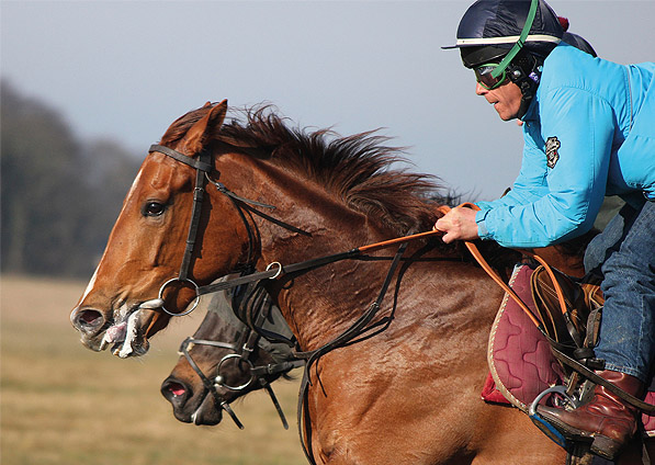  - Ribbons on the Newmarket gallops- April 2013 - 3