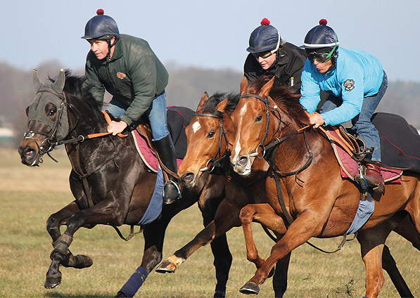  - Ribbons on the Newmarket gallops- April 2013 - 4