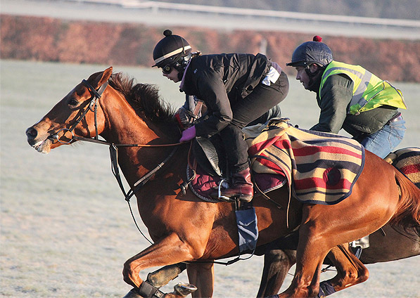  - Ribbons on the Newmarket gallops- April 2013 - 5