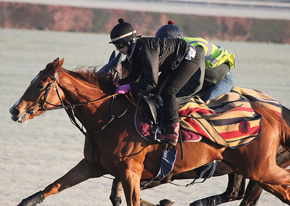  - Ribbons on the Newmarket gallops- April 2013 - 6