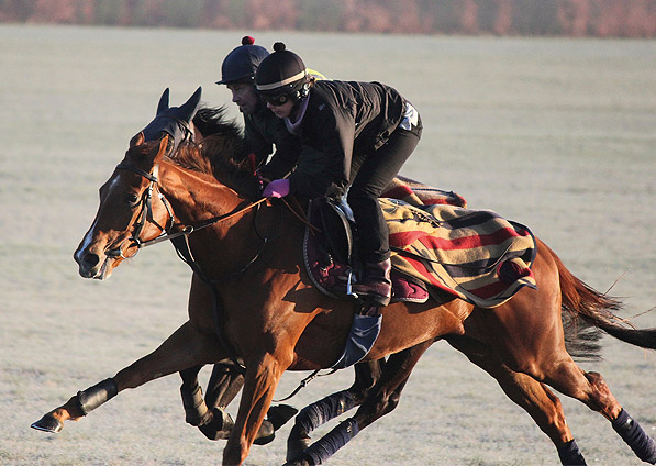  - Ribbons on the Newmarket gallops- April 2013 - 7