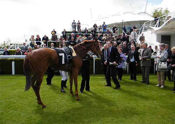  - Ribbons at Goodwood - 9 May 2013