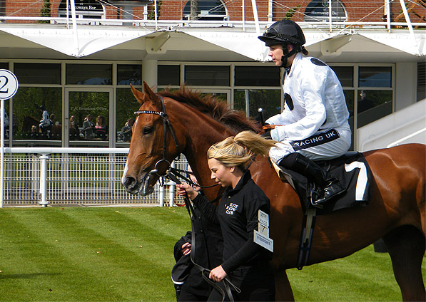  - Ribbons and Hayley Turner at Goodwood - 9 May 2013