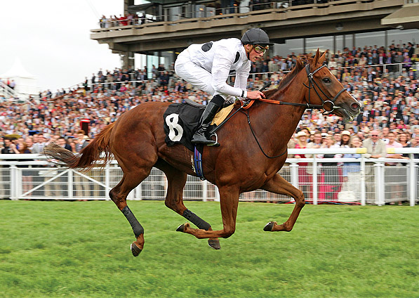  - Ribbons and James Doyle winning at Glorious Goodwood - 31 July 2013 - 2