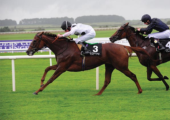  - Ribbons under Tom Queally at The Curragh - 13 September 2015 - 1