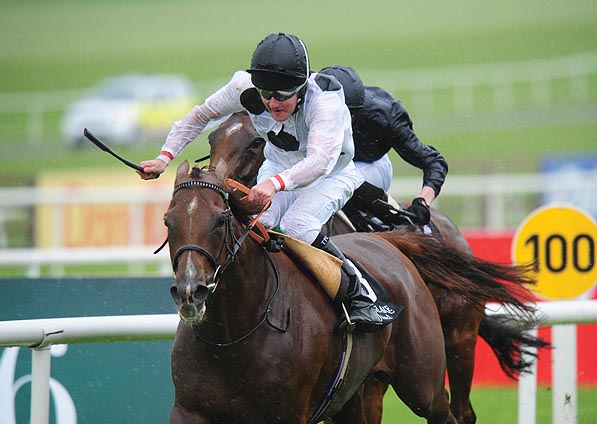  - Ribbons under Tom Queally at The Curragh - 13 September 2015 - 2