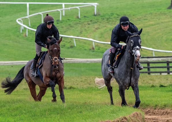  - Sarsen (right) and Blame It On Sally (Owners Group) - 18 November 2021