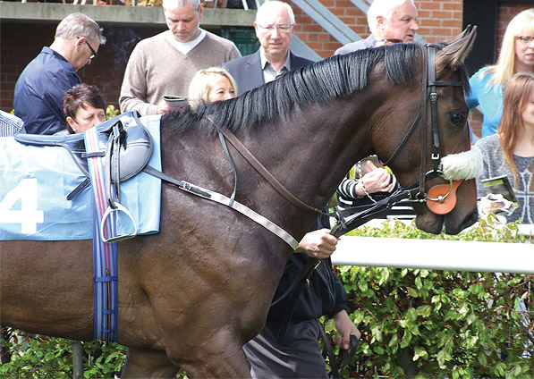  - Searchlight at Ripon - 19 May 2013 - 1