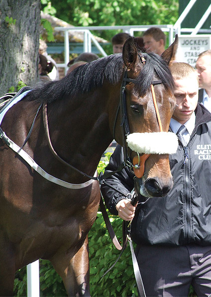  - Searchlight at Ripon - 19 May 2013 - 2