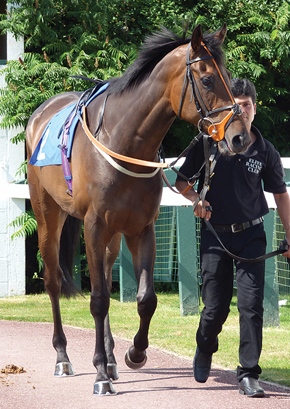  - Searchlight at Bath - 24 July 2014 - 1