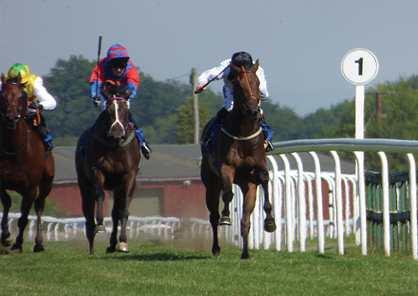  - Searchlight and Tom Eaves winning at Bath - 24 July 2014 - 1