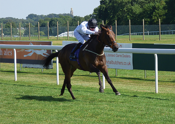  - Searchlight and Tom Eaves winning at Bath - 24 July 2014 - 2