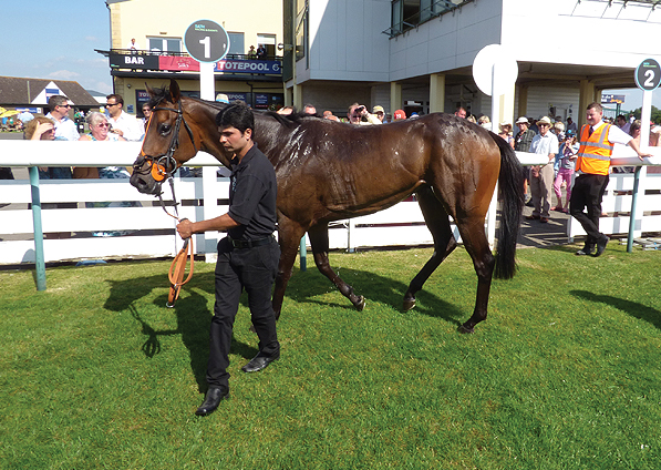  - Searchlght after winning at Bath - 24 July 2014