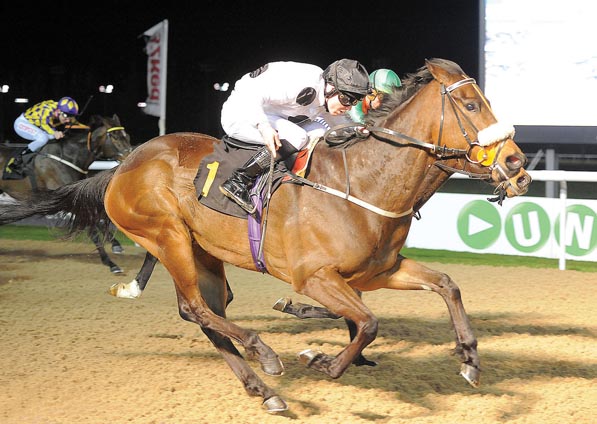  - Searchlight under Shane Gray at Wolverhampton - 20 March 2015
