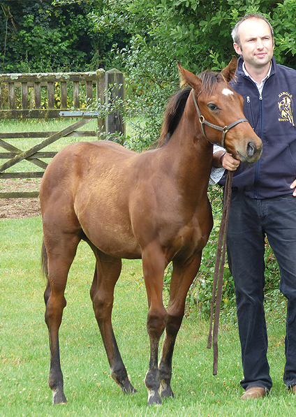  - Sepoy ex Baralinka colt - July 2014 - 1