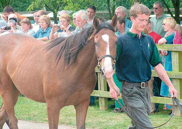  - Marju ex Kalinka 2004 filly - July 2005