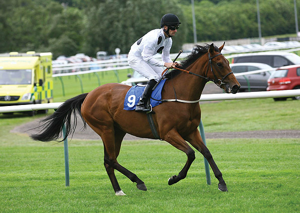  - Sistine at Nottingham - 29 May 2011