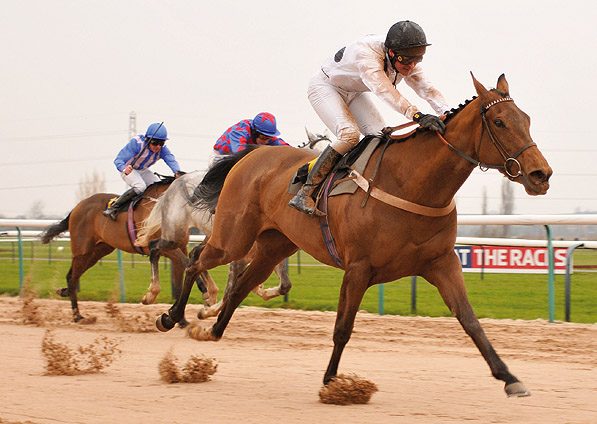  - Sistine winning at Southwell - 31 January 2012 - 1