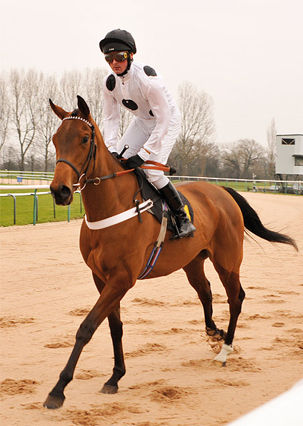  - Sistine winning at Southwell - 31 January 2012 - 2