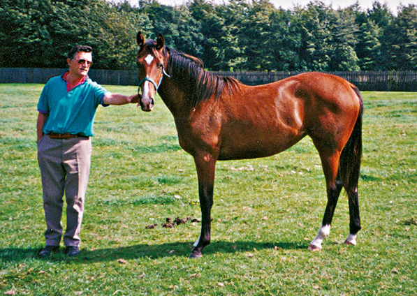  - Marju ex Kalinka filly - July 2001