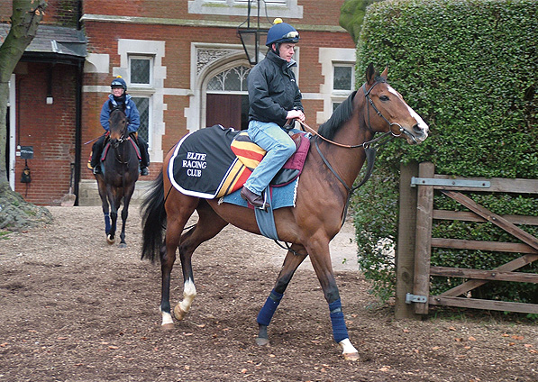  - Soviet Song at Pegasus Stables - 21 March 2006 - 1