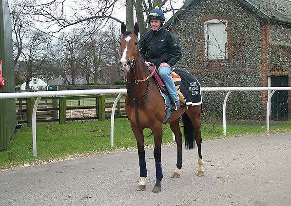  - Soviet Song at Pegasus Stables - 21 March 2006 - 2