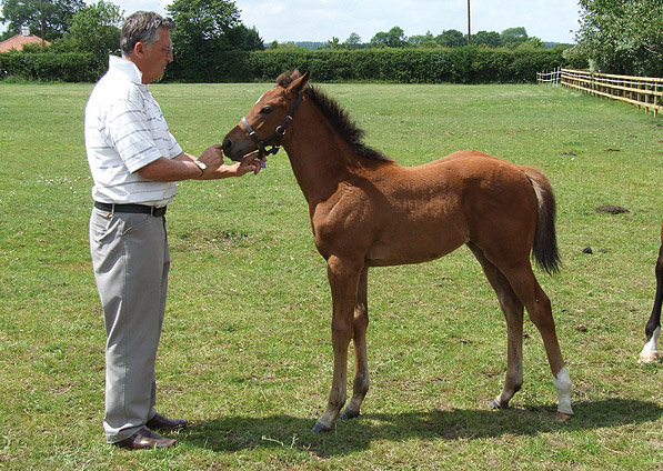  - Exceed And Excel ex Kalinova filly with Maurice Camacho - August 2011