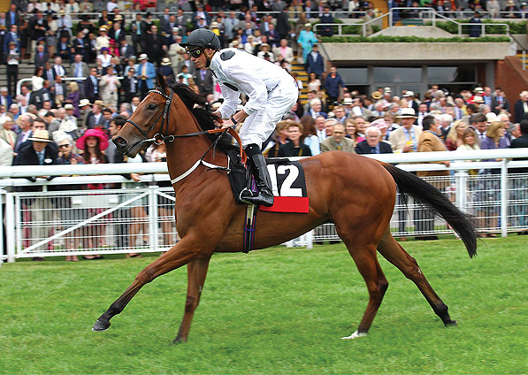  - Stars Above Me and James Doyle at Goodwood - 31 July 2013