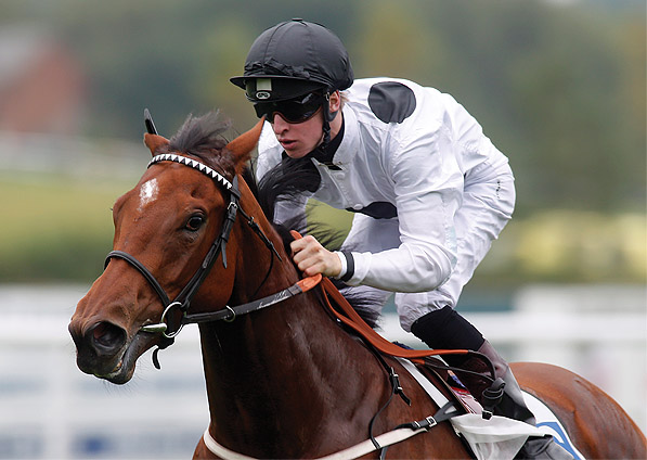  - Stars Above Me and Joey Haynes winning at Leicester - 23 September 2013 - 1