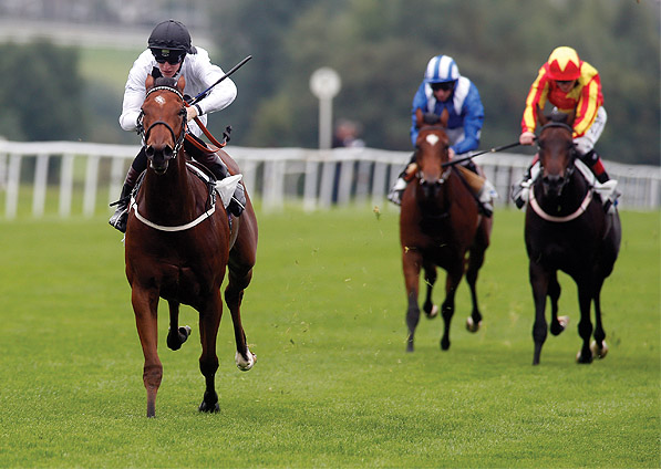  - Stars Above Me and Joey Haynes winning at Leicester - 23 September 2013 - 2