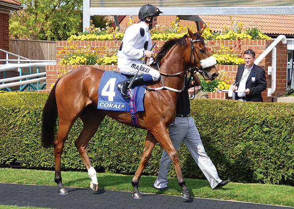  - Stars Above Me and William Buick at Newmarket - 17 May 2014