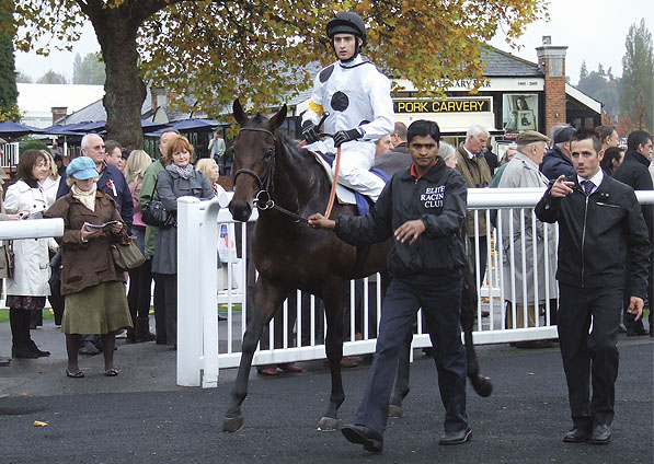 - State Fair and Greg Fairley at Newbury - 24 October 2009