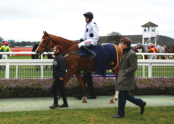  - Top Tug at Taunton - 21 February 2017