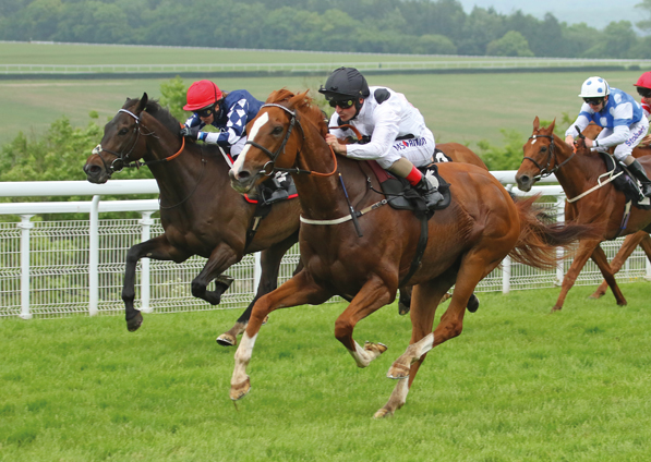  - Top Tug at Goodwood - 27 May 2017