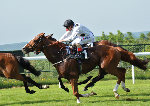  - Top Tug at Goodwood - 26 May 2018