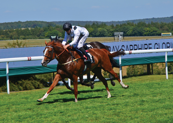  - Top Tug at Goodwood - 3 August 2018