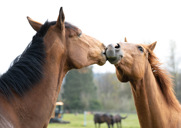  - Top Tug (right) and Moabit (Owners Group) - 14 April 2021